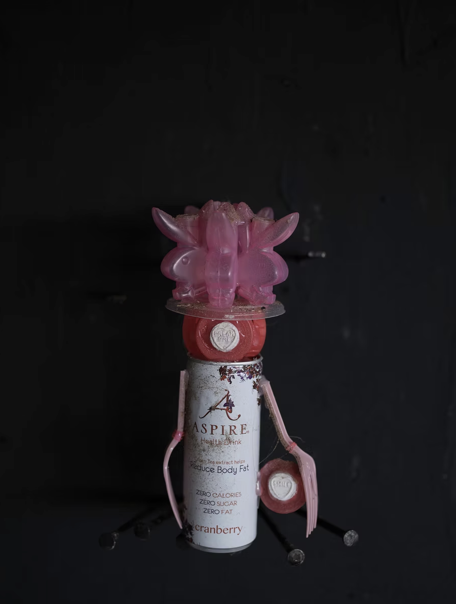 Desire on Display: How Art Reflects and Reshapes Consumer Culture